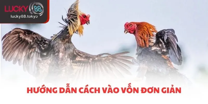 Hướng dẫn cách vào vốn đơn giản