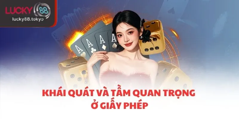 Khái quát và tầm quan trọng ở giấy phép